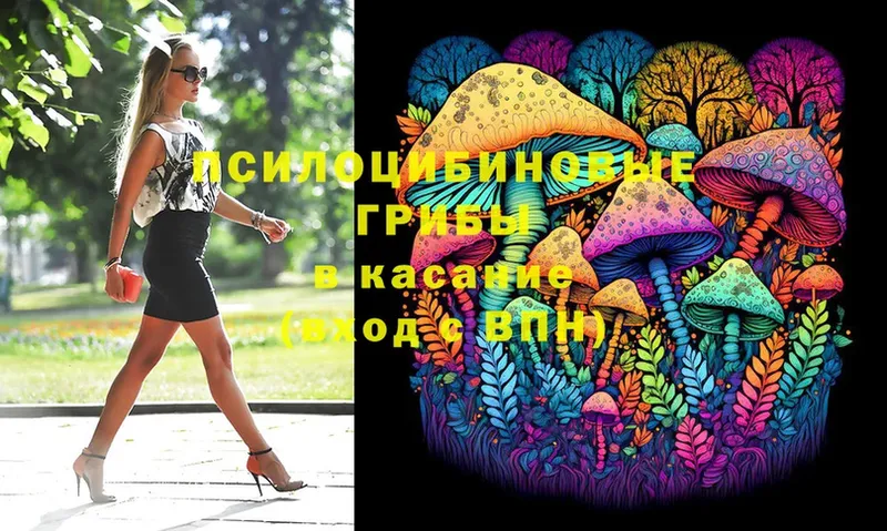 Псилоцибиновые грибы Psilocybe  сайты даркнета клад  Качканар  блэк спрут ССЫЛКА 